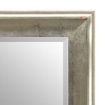 Baby Sterling Mirror 48X60 Silver