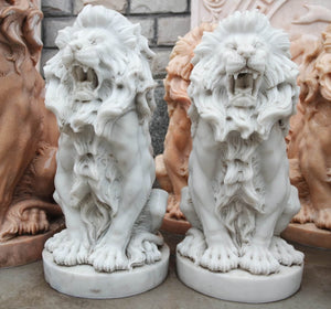 White Sitting Pair Of Lions GE18638