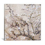 Almond Branches In Bloom San Remy, C. 1890 (tan) by Vincent van Gogh Canvas Print - UNQFurniture