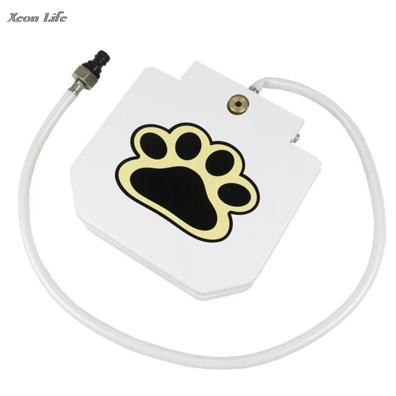 Paw-sensor pet water fountain