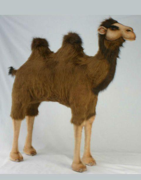 Ride-On Camel - UNQFurniture