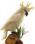 Cockatoo White Adult - UNQFurniture