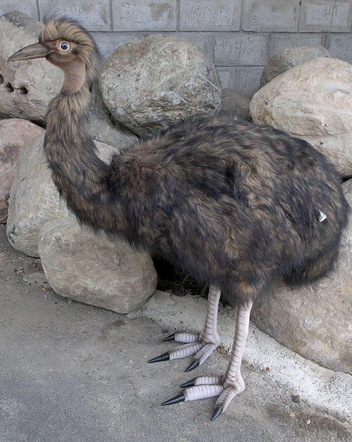 Life-Size Emu - UNQFurniture