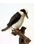 Kookabura 8" - UNQFurniture