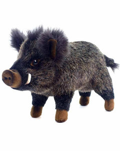 Baby Boar 11.5" - UNQFurniture