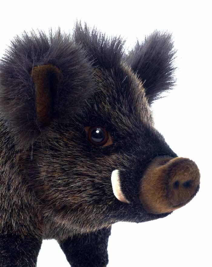 Baby Boar 11.5" - UNQFurniture