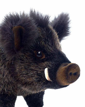 Baby Boar 11.5" - UNQFurniture