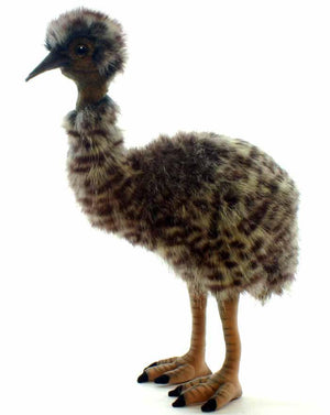 Baby Emu 13" - UNQFurniture