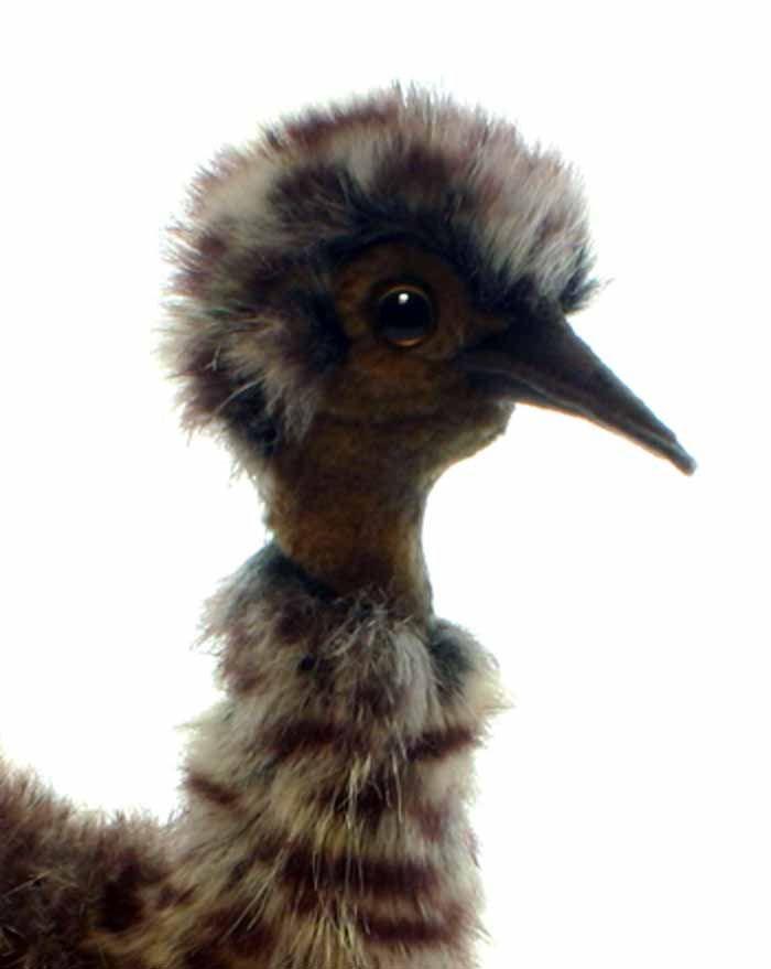 Baby Emu 13" - UNQFurniture