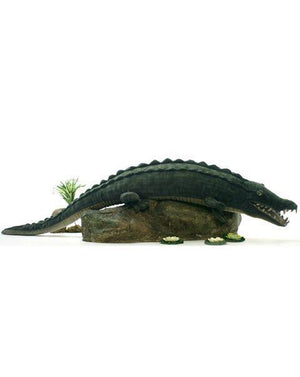 Alligator (Crocodile) 100" - UNQFurniture