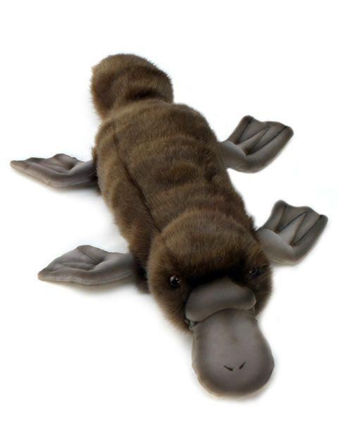 Platypus 16" - UNQFurniture