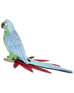 Parrot Green/Blue 7" - UNQFurniture