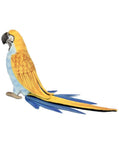 Parrot Blue/Yellow 7" - UNQFurniture