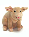 Oliver Pig 8" - UNQFurniture