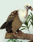 Vulture - Medium 12" - UNQFurniture