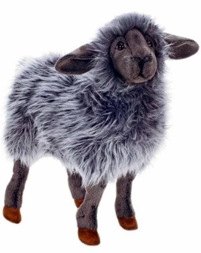 Black Sheep Kid 14" - UNQFurniture