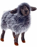 Black Sheep Kid 14" - UNQFurniture