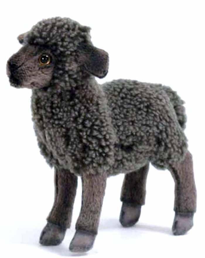 Black Sheep Kid 12" - UNQFurniture