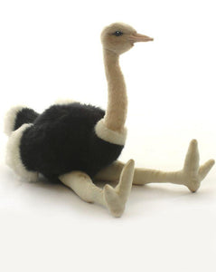 Ostrich 8" - UNQFurniture