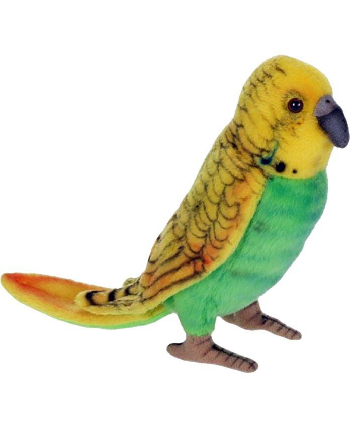 Parakeet Yellow/Green Budgie 6" - UNQFurniture