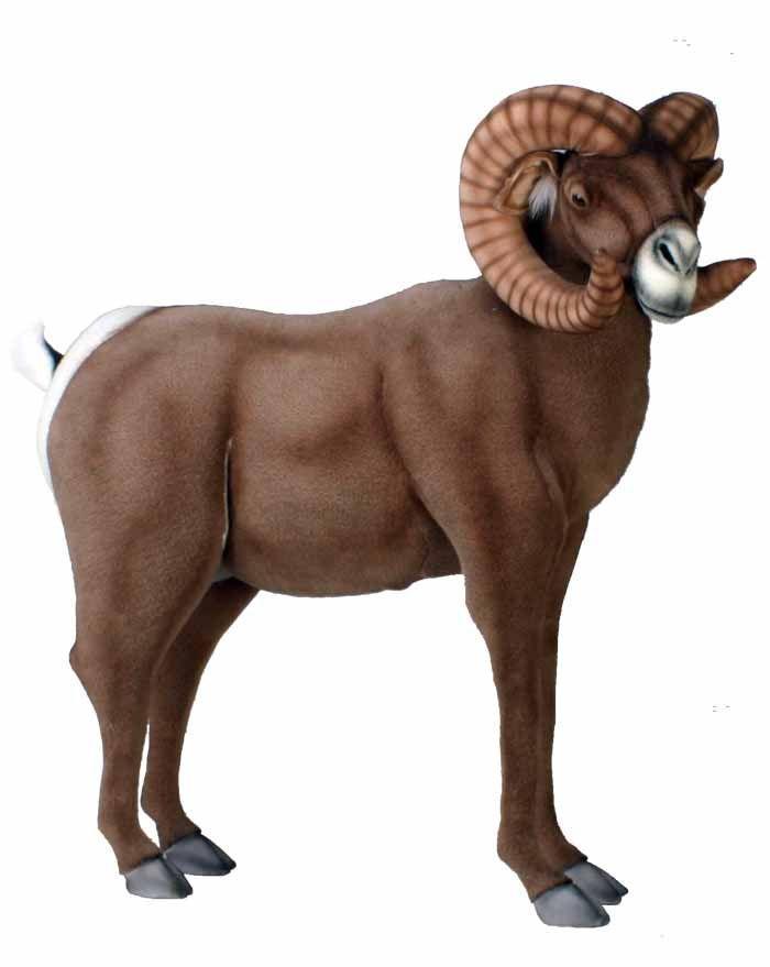 Big Horn Ram 37X41 - UNQFurniture