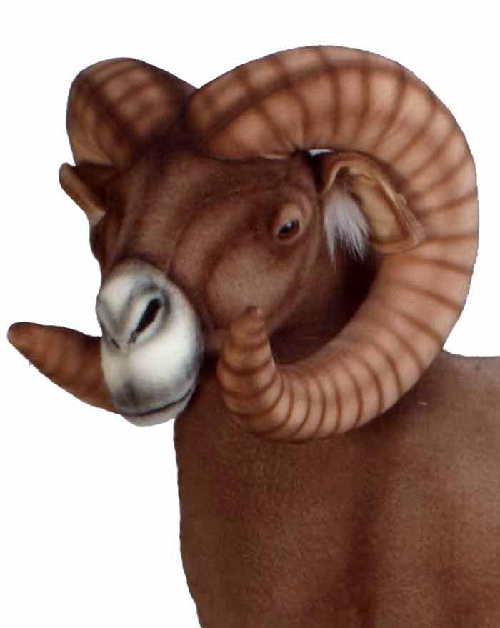 Big Horn Ram 37X41 - UNQFurniture