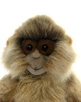 Spider Monkey 12" - UNQFurniture