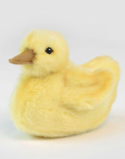 Duck Chick 5" - UNQFurniture