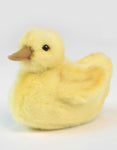 Duck Chick 5" - UNQFurniture