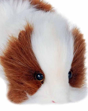 Brown/White Guinea Pig 8" - UNQFurniture