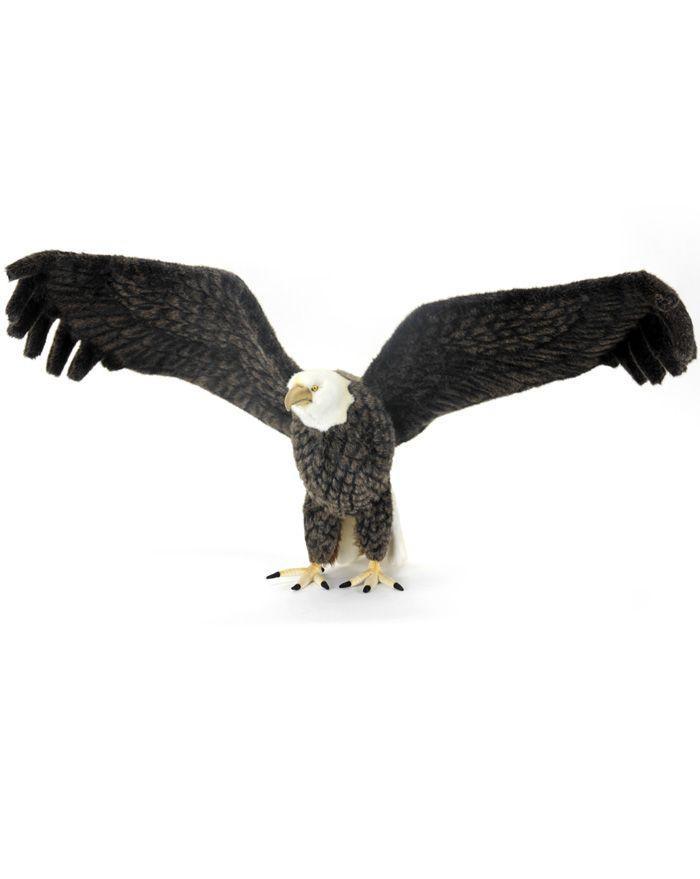 Eagle Bald - Life-Size 25" - UNQFurniture