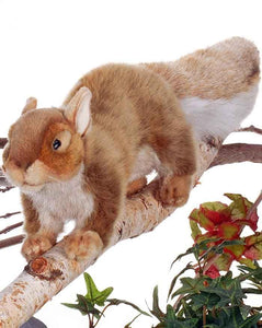 Brown Squirrel 12" - UNQFurniture