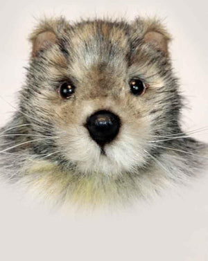 Baby Groundhog Marmot 9" - UNQFurniture