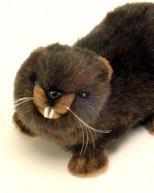 Baby Beaver 6" - UNQFurniture