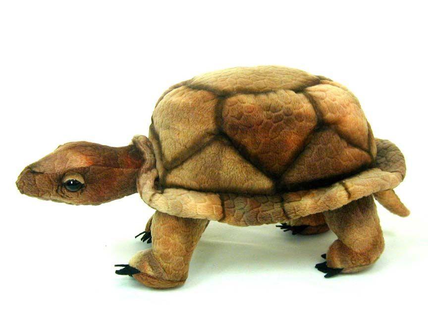 Wood Turtle 9" - UNQFurniture