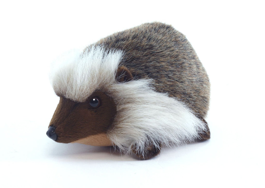 Hedgehog 8" - UNQFurniture