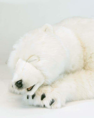 Large Polar Cub Sleeping 41''L - UNQFurniture