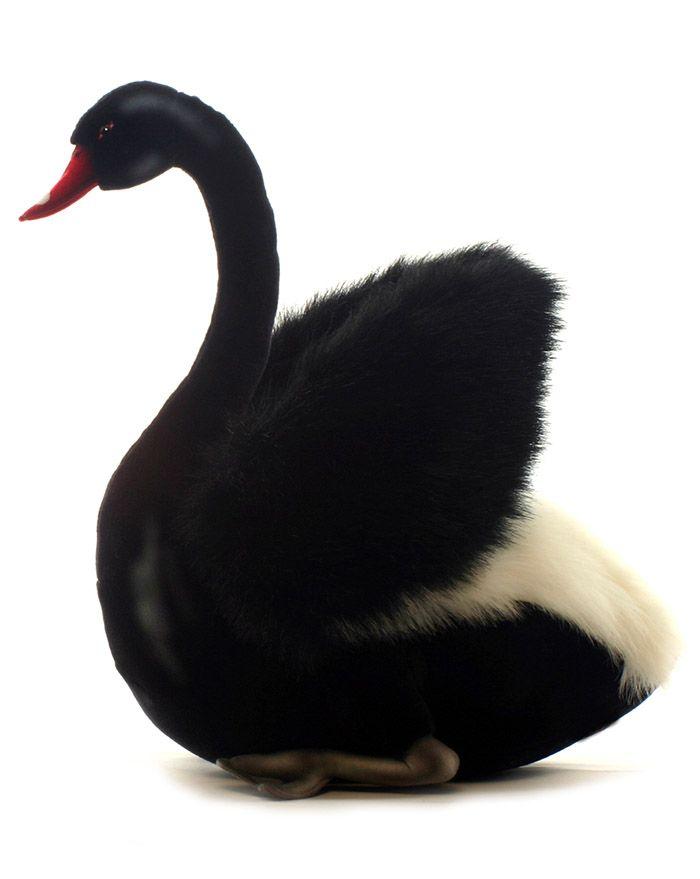 Black Swan 11" - UNQFurniture