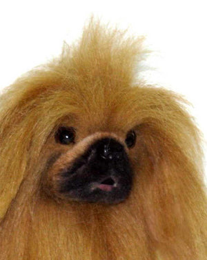 Pekinese Toy Size Dog 11''L - UNQFurniture