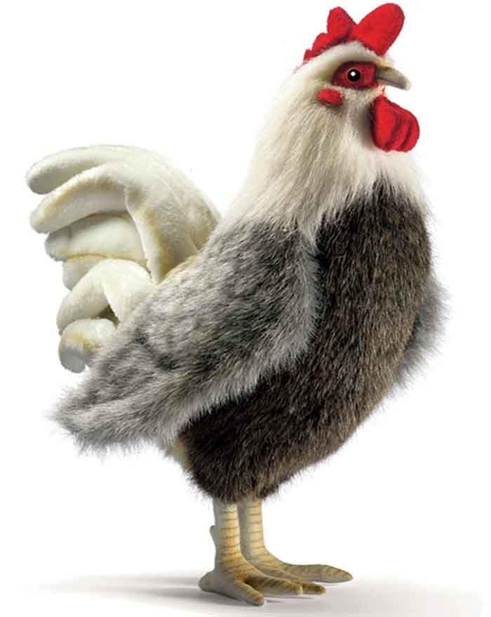 Rooster Bantam 11'' - UNQFurniture