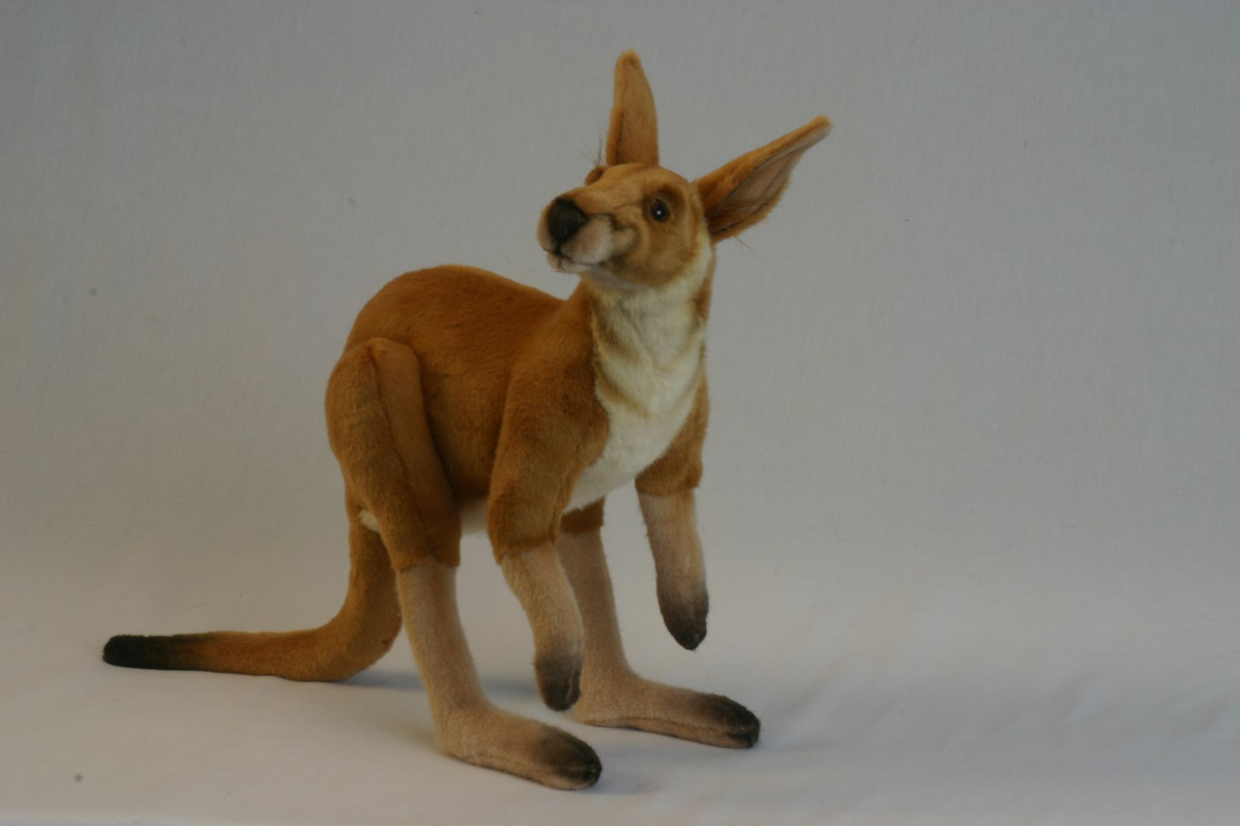 Male Kangaroo 26''L - UNQFurniture