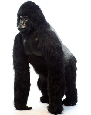 Gorilla, Life Sz Ml Slvbk67'' - UNQFurniture