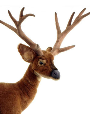 Deer, White Tailed 30"L X 42''H - UNQFurniture