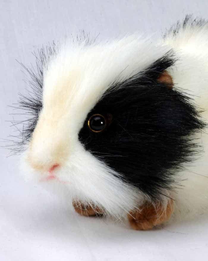 Black/White Guinea Pig 8" - UNQFurniture