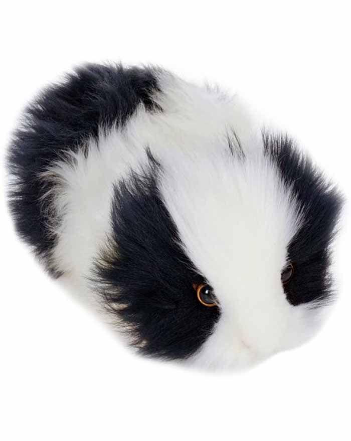 Black/White Guinea Pig 8" - UNQFurniture