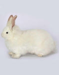 Bunny Rabbit, Snow 14''L - UNQFurniture