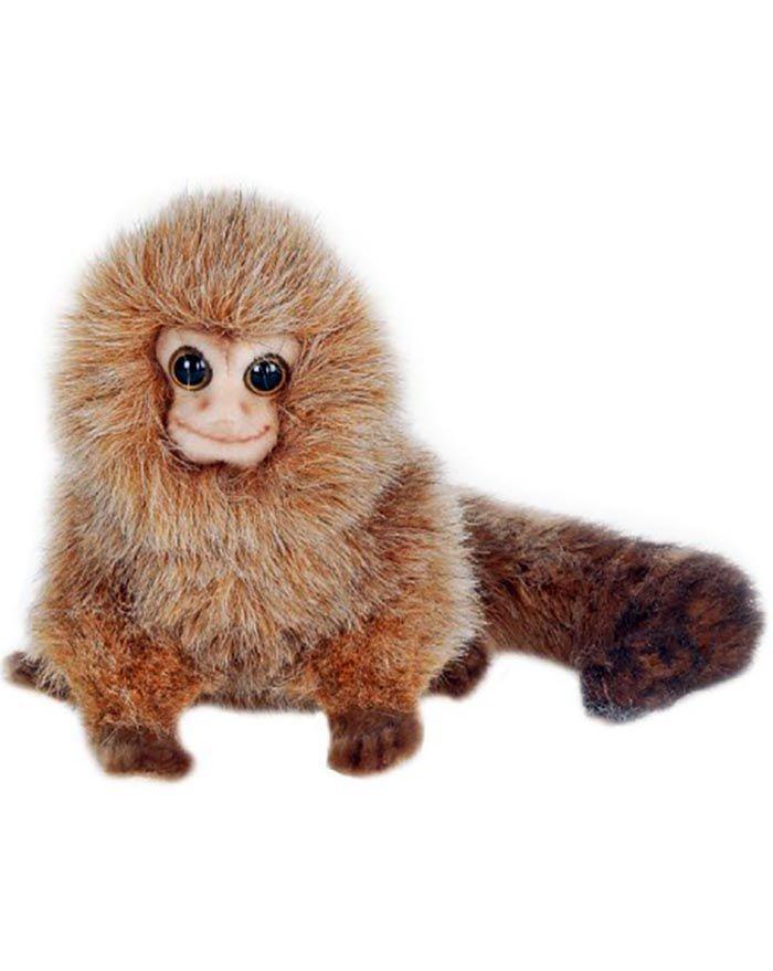 Marmoset Pygmy 6'' - UNQFurniture