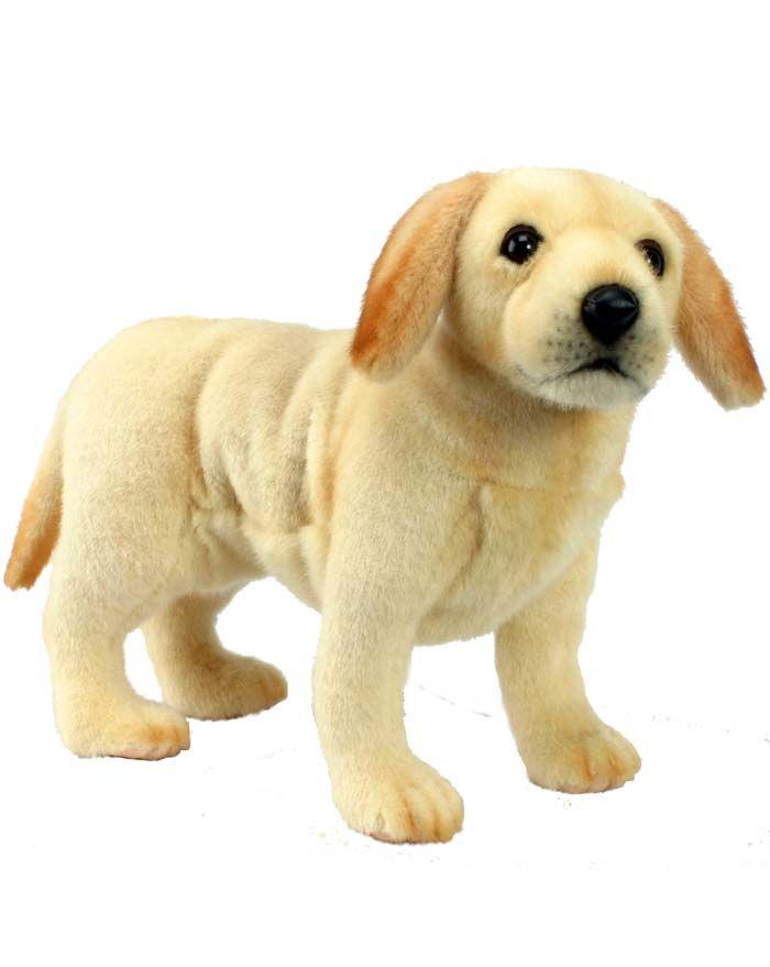 Labrador Puppy 14'' L - UNQFurniture