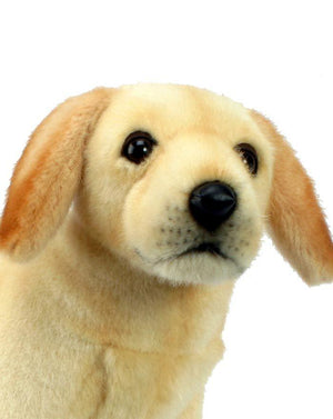 Labrador Puppy 14'' L - UNQFurniture