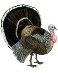 Turkey - Life Size - 39"L X 46''H - UNQFurniture